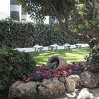 Hotel Delle Palme 3*