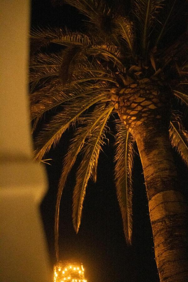 Delle Palme 3*
